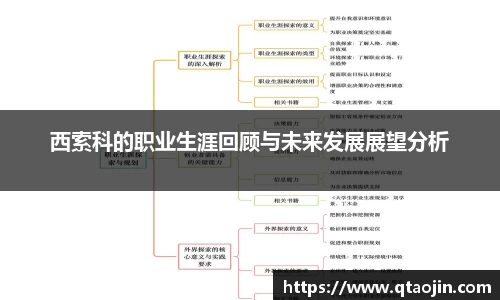 西索科的职业生涯回顾与未来发展展望分析