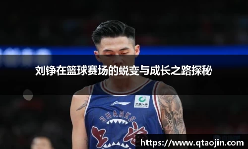 刘铮在篮球赛场的蜕变与成长之路探秘